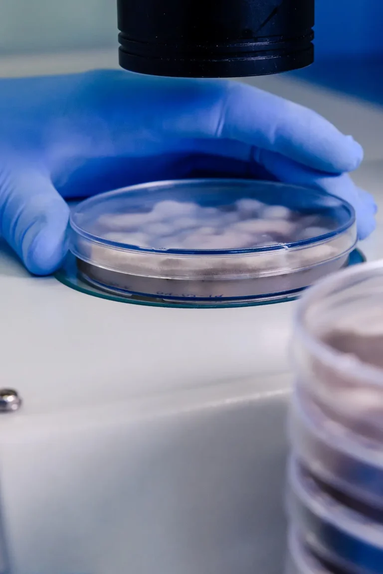 Cryopreserved embryos in a laboratory petri dish - Learn about the process of cryopreservation and its significance for fertility preservation at Dream IVF Cyprus.